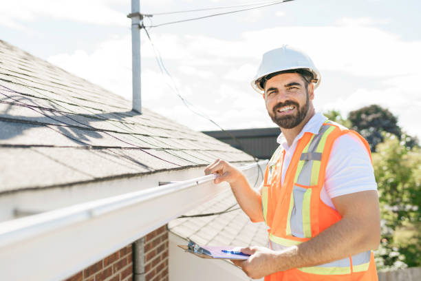 Steel Roofing in Meridian, CO