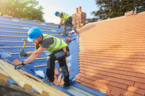 Best Metal Roofing Installation  in Meridian, CO