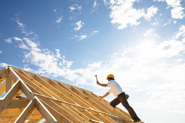 Best Roof Insulation Installation  in Meridian, CO